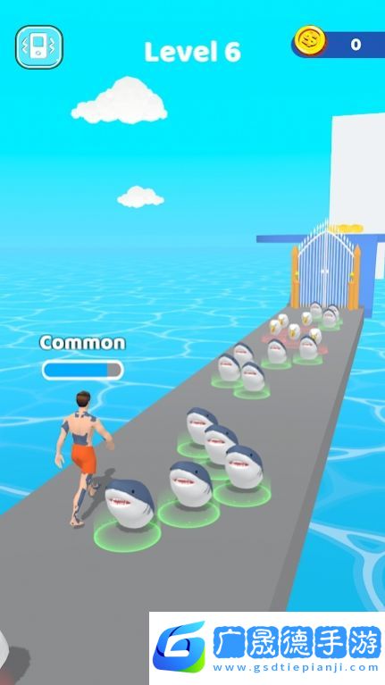 飞行或游泳