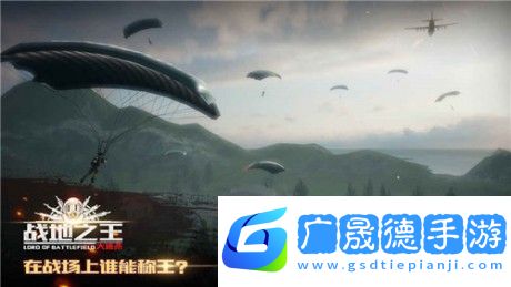 战地之王
