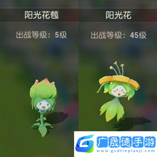 海岛纪元宠物骑乘证获取全攻略