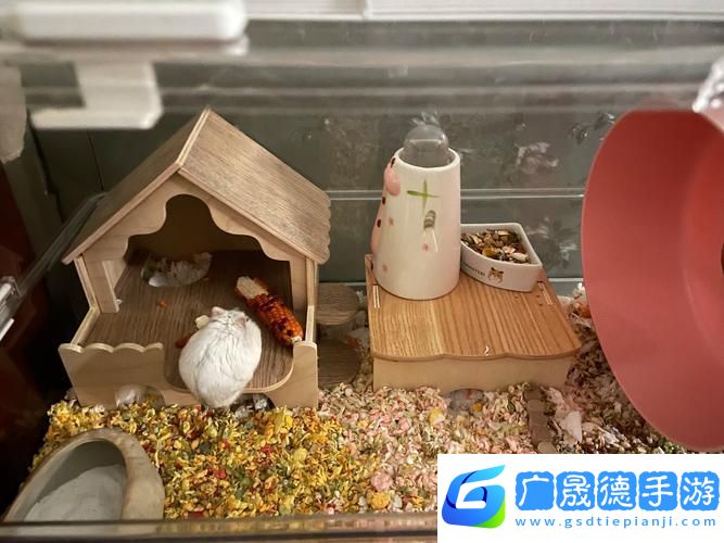 我给仓鼠盖别墅2