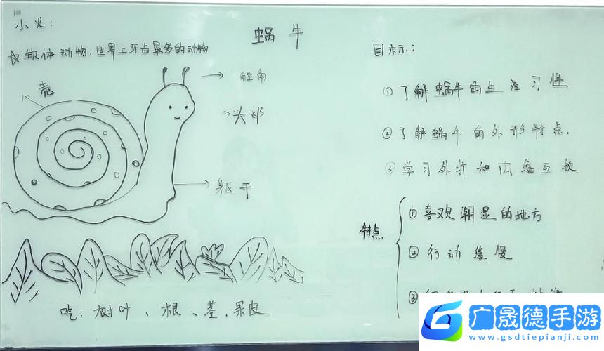 探秘心灵深处