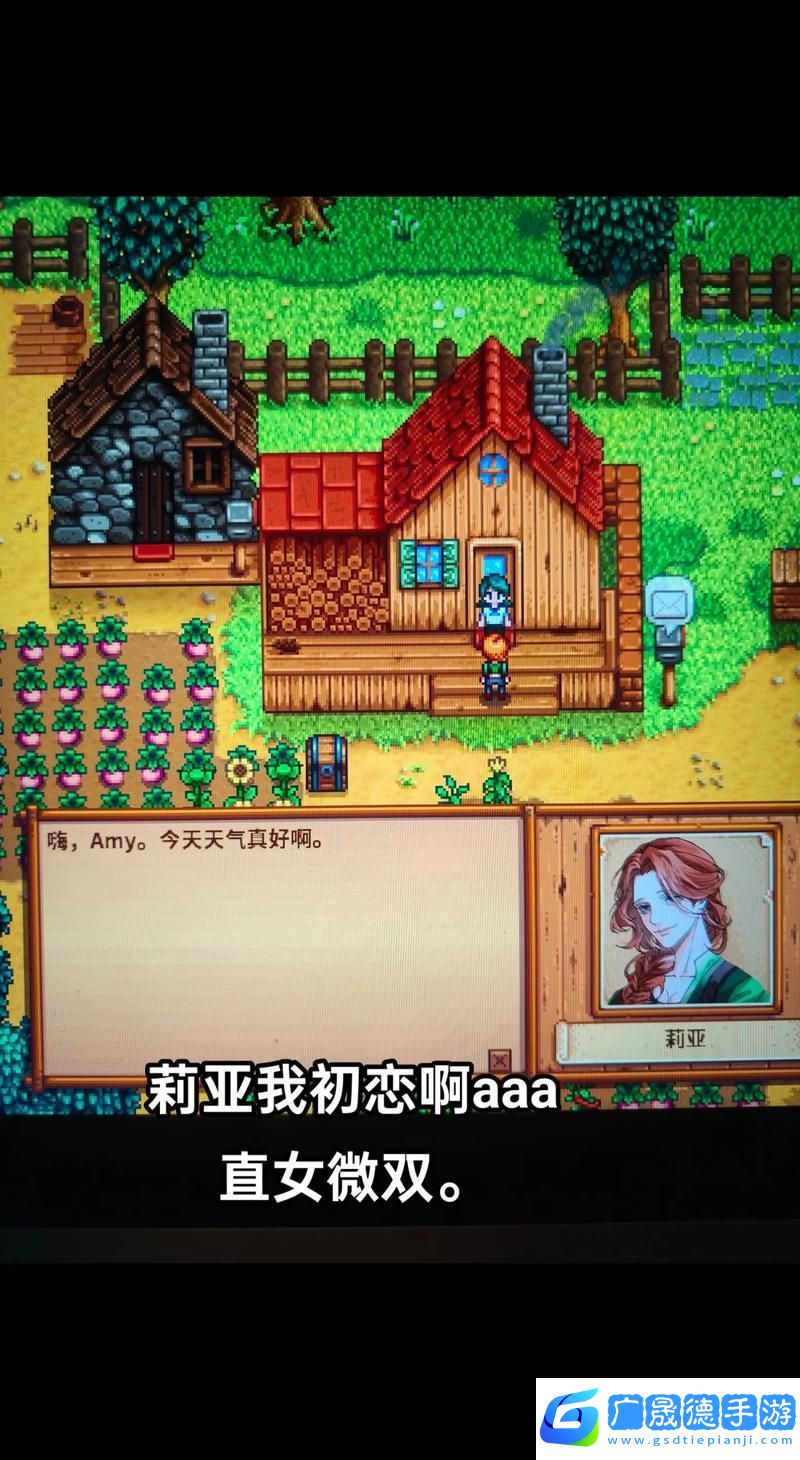 星露谷物语浪漫揭秘