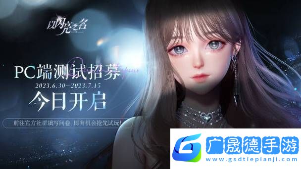 以闪亮之名pc版
