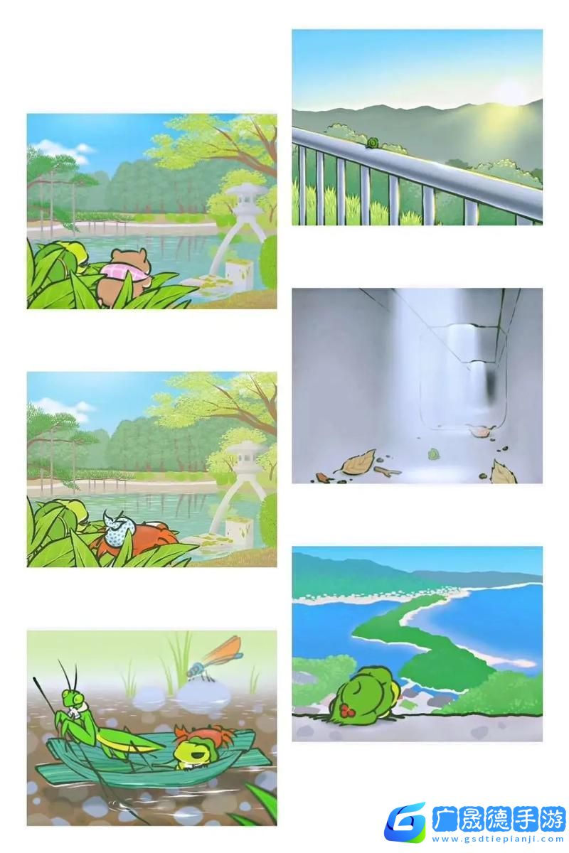 青蛙爱旅行