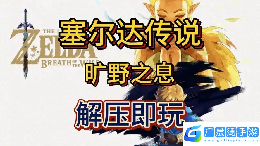 百万塞尔达迷思