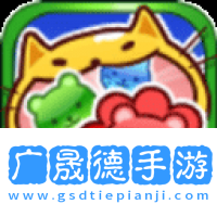 动物配对