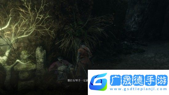 只狼水生的凛支线任务怎么完成 只狼水生的凛任务完成方法
