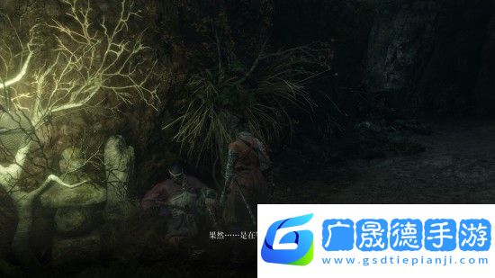 只狼水生的凛支线任务怎么完成 只狼水生的凛任务完成方法