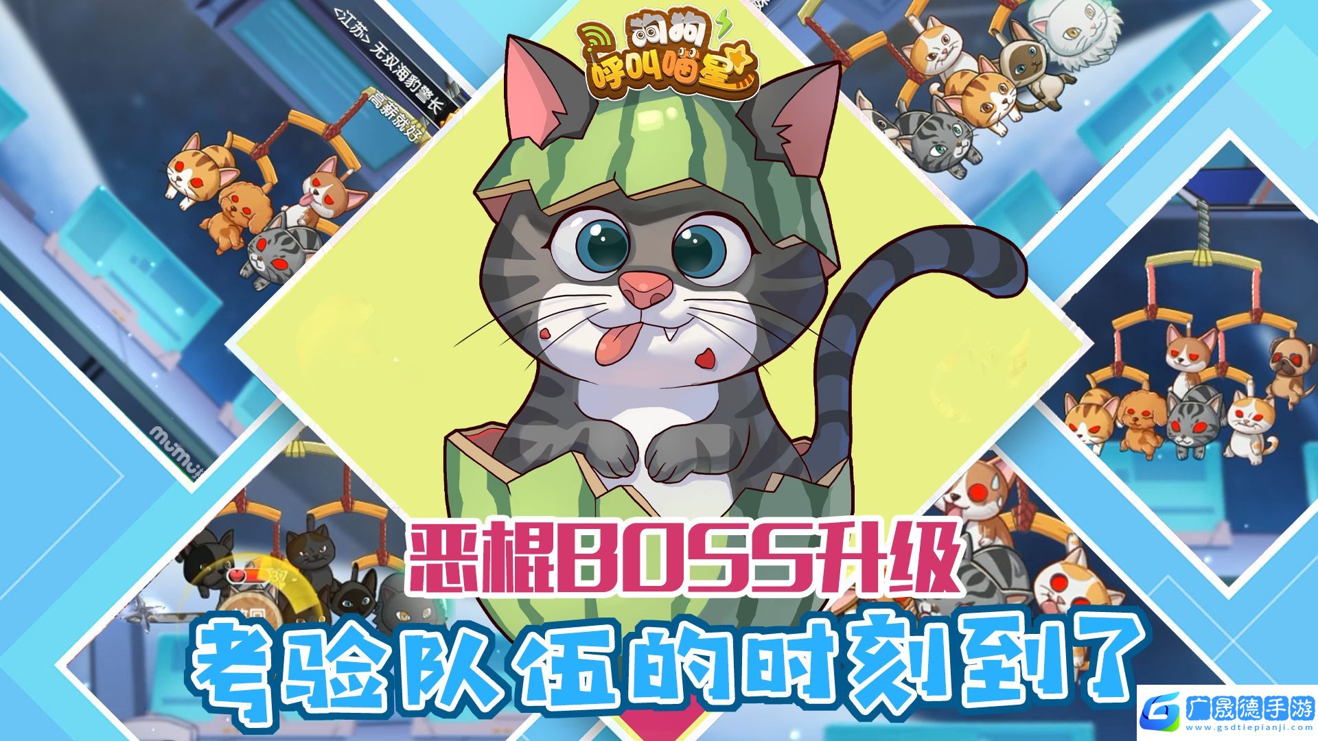 狗狗呼叫喵星免广告