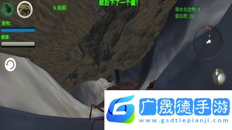 奇妙动物世界探险
