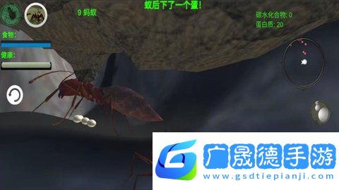 奇妙动物世界探险