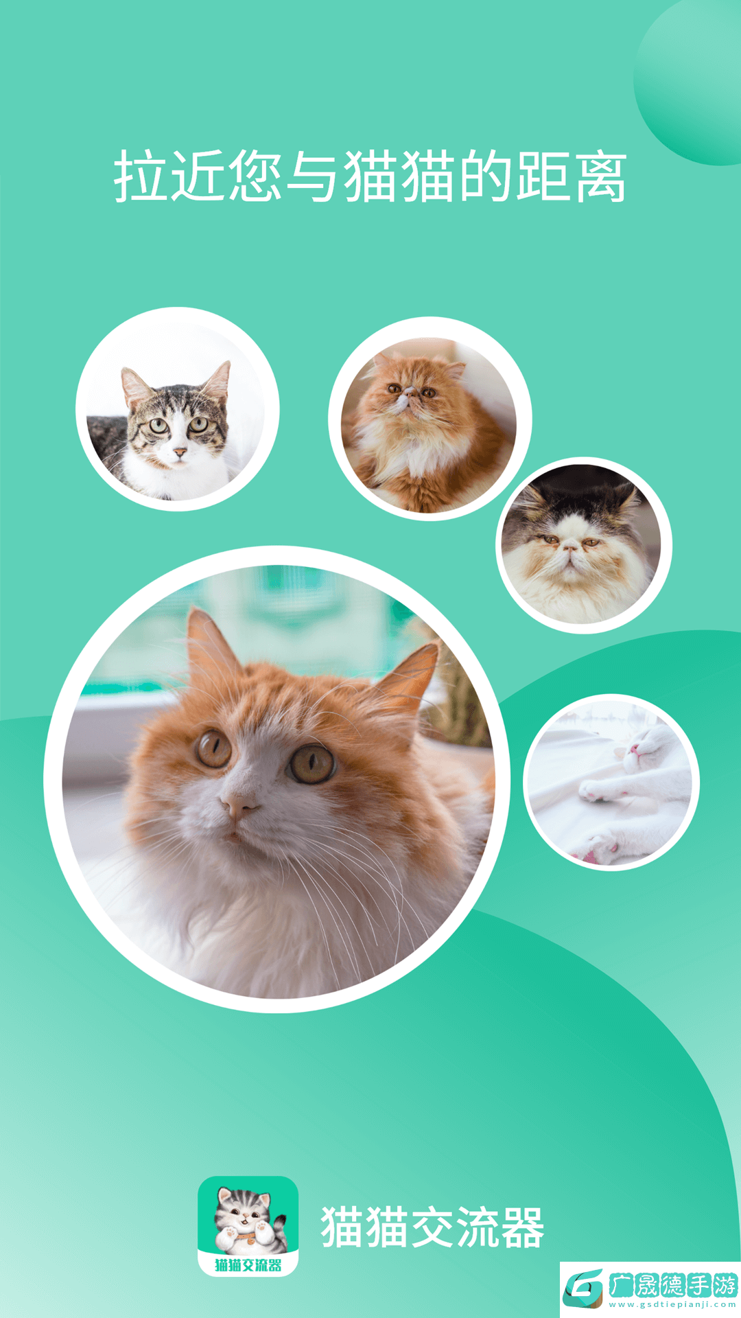 猫猫交流器