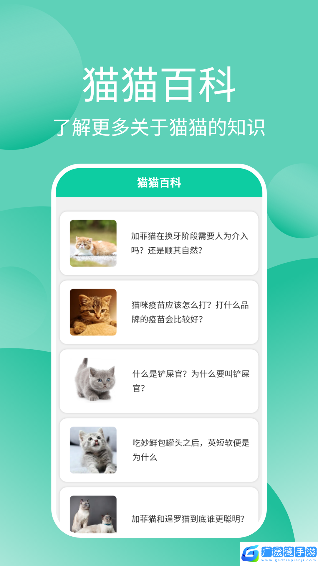 猫猫交流器