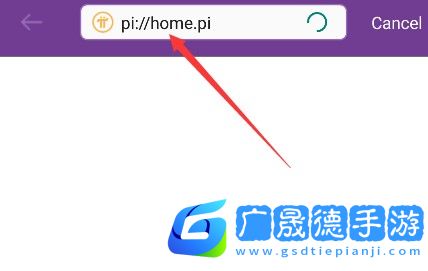 pi浏览器官方下载最新版本(pi browser)