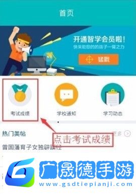智学网怎么查看年级排名教程