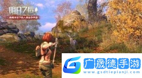 阿浪国际服画质助手2.0