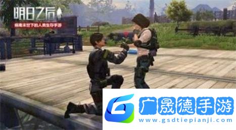 阿浪国际服画质助手2.0