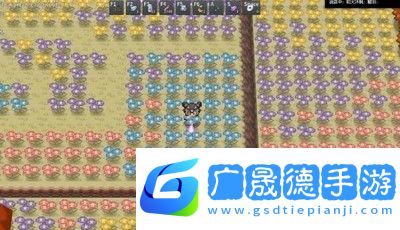 pokemmo2023万圣节神奥全鬼火位置